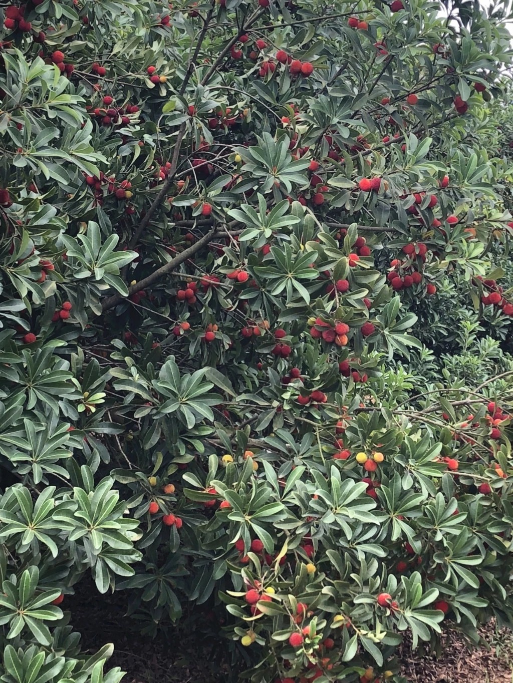 微信圖片_202111111607511