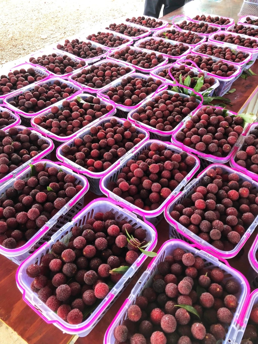 微信圖片_20211111160751