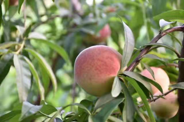 微信圖片_202111111607502